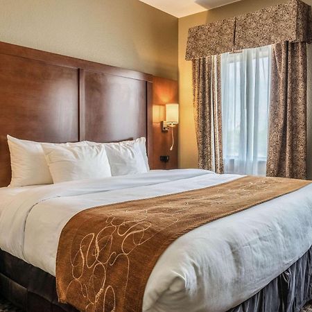 Comfort Suites Near Texas State University San Marcos Bagian luar foto