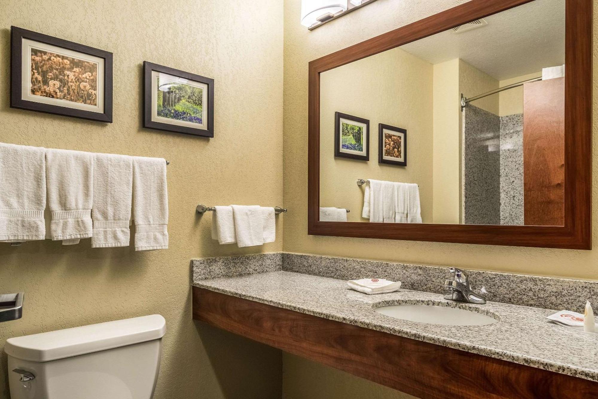 Comfort Suites Near Texas State University San Marcos Bagian luar foto